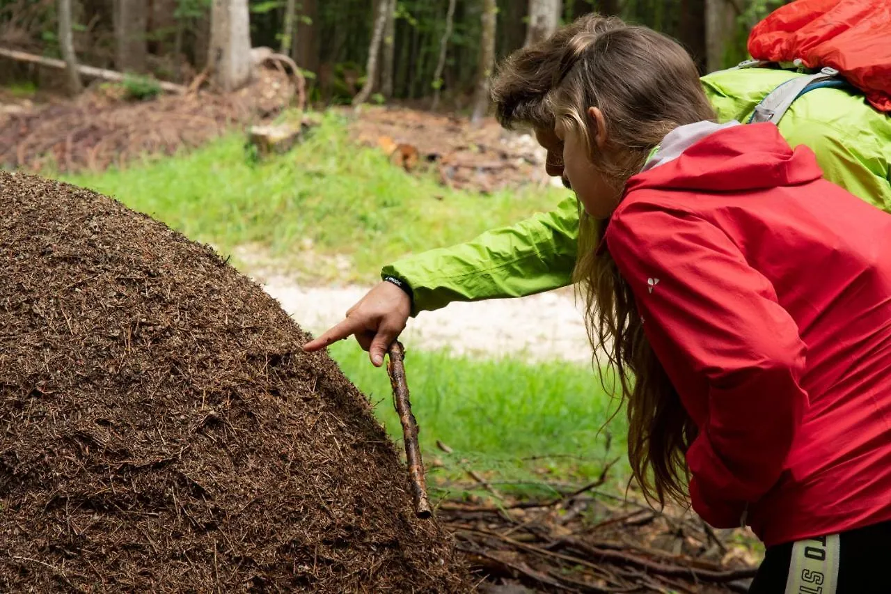 شقة Happy Corner - The Home For Outdoor Lovers Revine Lago