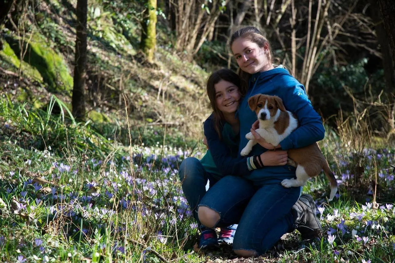 Happy Corner - The Home For Outdoor Lovers Revine Lago شقة